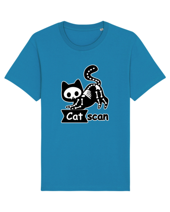 Cat Scan  Azur