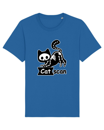 Cat Scan  Royal Blue