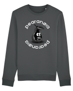 Paranoia / Pearanoia Simple New Trend, Streetwear & Lifestyle  Funny Design Bluză mânecă lungă Unisex Rise