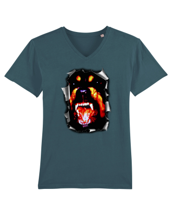 Rott in my heart, Caine Rottweiler, Catel Rottie  Stargazer