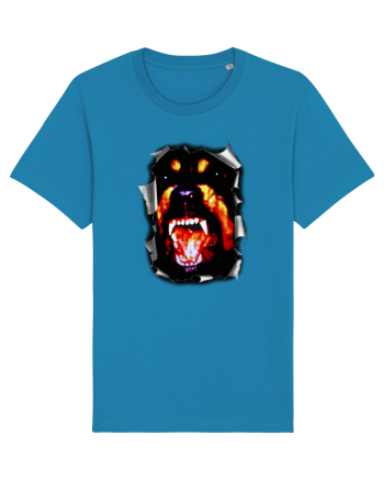 Rott in my heart, Caine Rottweiler, Catel Rottie  Azur