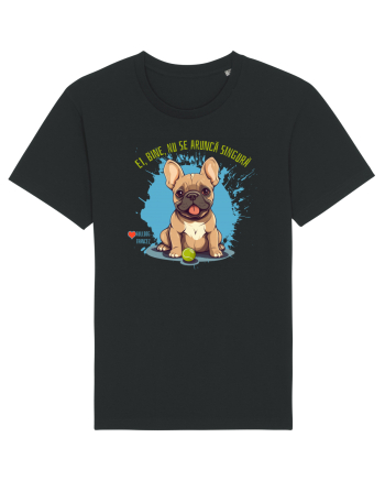 NU SE ARUNCA SINGURA - Bulldog Francez Black
