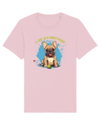 NU SE ARUNCA SINGURA - Bulldog Francez Cotton Pink