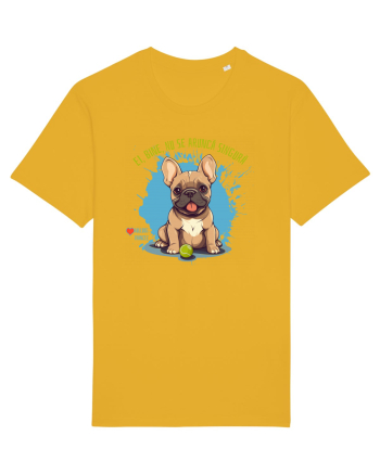 NU SE ARUNCA SINGURA - Bulldog Francez Spectra Yellow