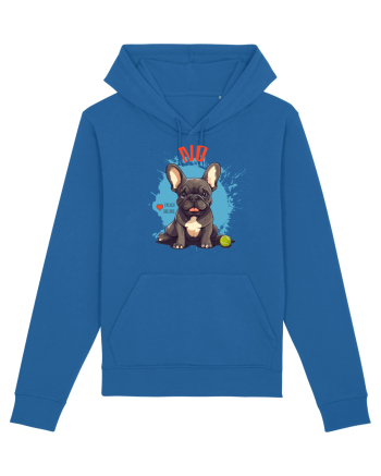 NO -  French Bulldog Royal Blue
