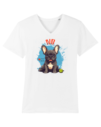 NO -  French Bulldog White