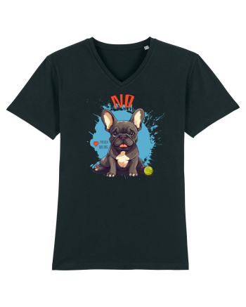 NO -  French Bulldog Black