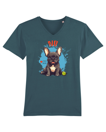 NO -  French Bulldog Stargazer