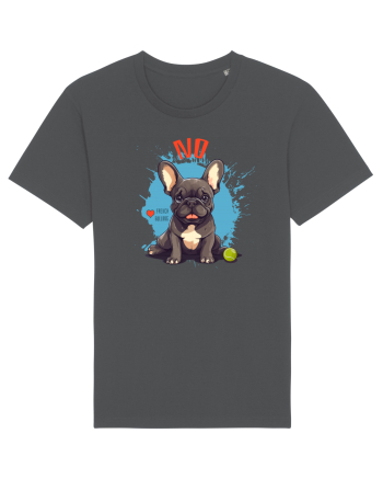 NO -  French Bulldog Anthracite
