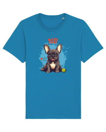 NO -  French Bulldog Azur