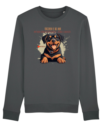 TACEREA E DE AUR - Rottweiller Anthracite