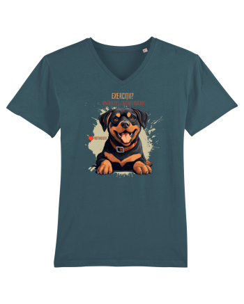 EXERCITII? AM INTELES CARTOFI PRAJITI - Rottweiller Stargazer
