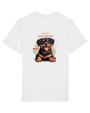 EXERCITII? AM INTELES CARTOFI PRAJITI - Rottweiller White