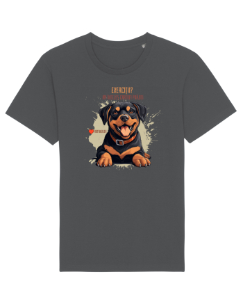 EXERCITII? AM INTELES CARTOFI PRAJITI - Rottweiller Anthracite