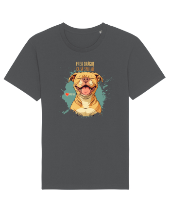 PREA DRAGUT CA SA SPUI NU - Amstaff Anthracite