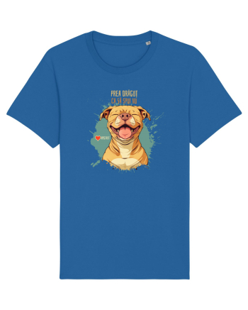 PREA DRAGUT CA SA SPUI NU - Amstaff Royal Blue