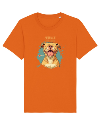 PREA DRAGUT CA SA SPUI NU - Amstaff Bright Orange