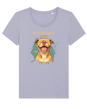 TOO CUTE TO SAY NO - Amstaff Lavender