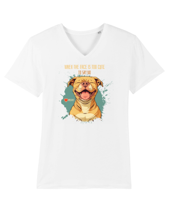 TOO CUTE TO SAY NO - Amstaff White