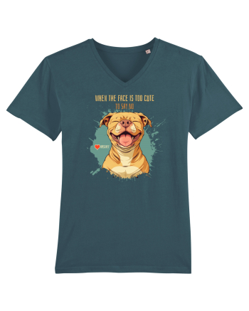 TOO CUTE TO SAY NO - Amstaff Stargazer