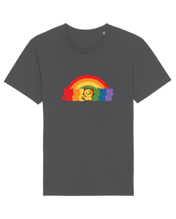 Rainbow Cat Anthracite