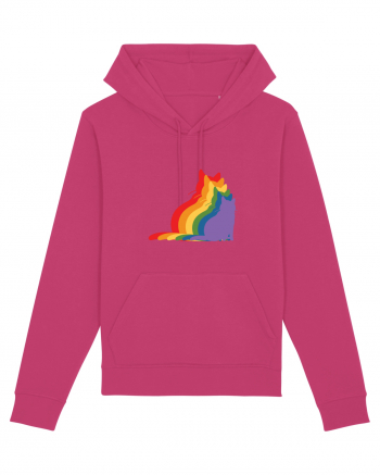 Rainbow Cat Hanorac Unisex Drummer