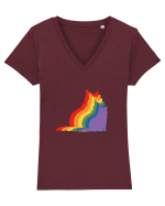 Rainbow Cat Tricou mânecă scurtă guler V Damă Evoker