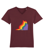 Rainbow Cat Tricou mânecă scurtă guler V Bărbat Presenter