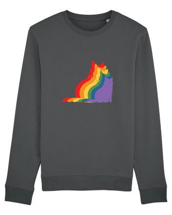 Rainbow Cat Anthracite