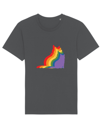 Rainbow Cat Anthracite