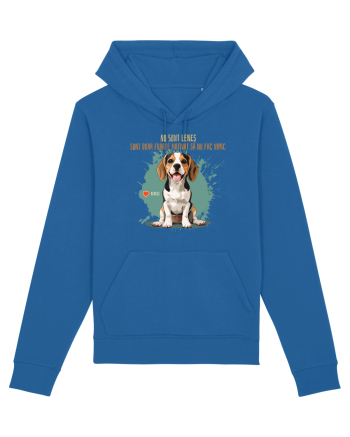 NU SUNT LENES - Beagle Royal Blue