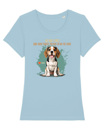 NU SUNT LENES - Beagle Sky Blue