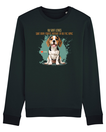 NU SUNT LENES - Beagle Black