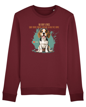 NU SUNT LENES - Beagle Burgundy