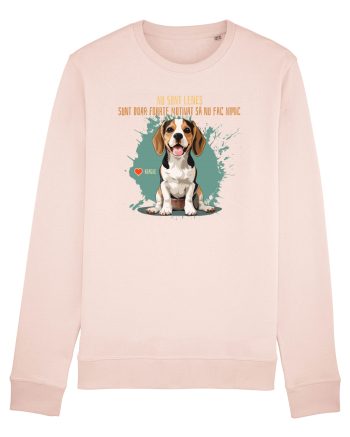 NU SUNT LENES - Beagle Candy Pink