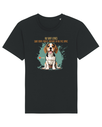 NU SUNT LENES - Beagle Black