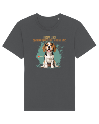 NU SUNT LENES - Beagle Anthracite