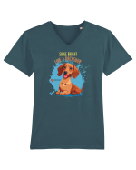 SHINE BRIGHT LIKE A DACHSUND - Dachsund / Teckel Tricou mânecă scurtă guler V Bărbat Presenter