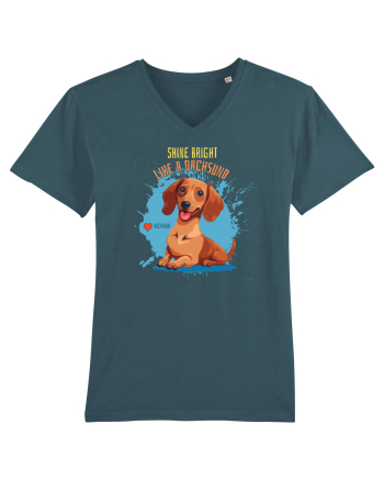 SHINE BRIGHT LIKE A DACHSUND - Dachsund / Teckel Stargazer