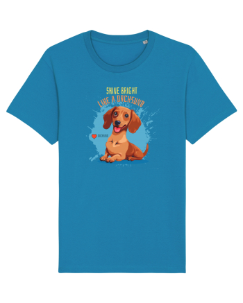 SHINE BRIGHT LIKE A DACHSUND - Dachsund / Teckel Azur