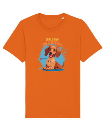 SHINE BRIGHT LIKE A DACHSUND - Dachsund / Teckel Bright Orange