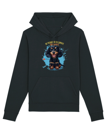NU TREBUIE SA FIU CUMINTE, SUNT SIMPATIC - Dachsund / Teckel Black