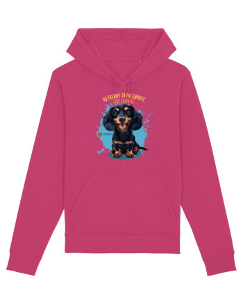 NU TREBUIE SA FIU CUMINTE, SUNT SIMPATIC - Dachsund / Teckel Raspberry