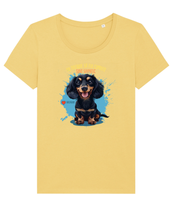 NU TREBUIE SA FIU CUMINTE, SUNT SIMPATIC - Dachsund / Teckel Jojoba