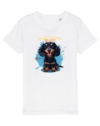 NU TREBUIE SA FIU CUMINTE, SUNT SIMPATIC - Dachsund / Teckel White