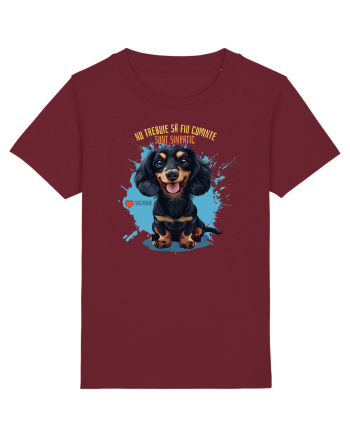 NU TREBUIE SA FIU CUMINTE, SUNT SIMPATIC - Dachsund / Teckel Burgundy