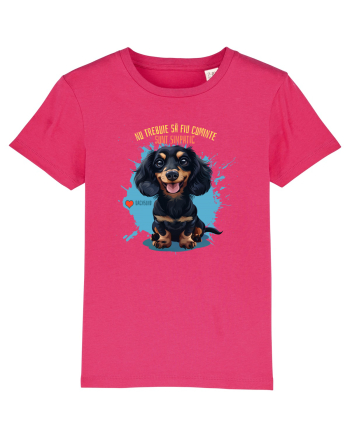 NU TREBUIE SA FIU CUMINTE, SUNT SIMPATIC - Dachsund / Teckel Raspberry