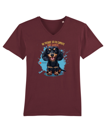 NU TREBUIE SA FIU CUMINTE, SUNT SIMPATIC - Dachsund / Teckel Burgundy