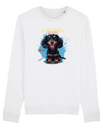 NU TREBUIE SA FIU CUMINTE, SUNT SIMPATIC - Dachsund / Teckel White