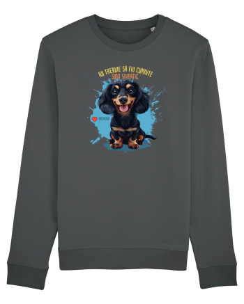 NU TREBUIE SA FIU CUMINTE, SUNT SIMPATIC - Dachsund / Teckel Anthracite